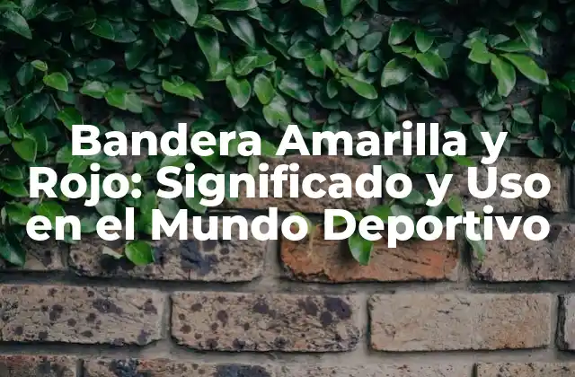 Bandera Amarilla y Rojo: Significado y Uso en el Mundo Deportivo