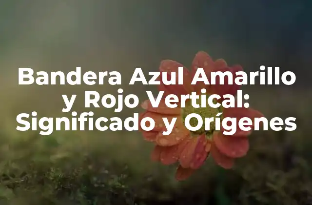 Bandera Azul Amarillo y Rojo Vertical: Significado y Orígenes