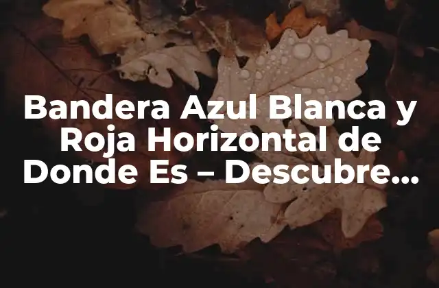 Orígenes de la Bandera Azul Blanca y Roja Horizontal