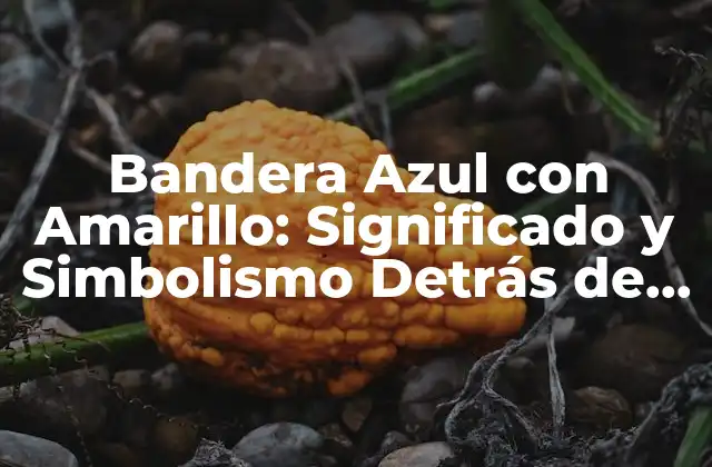 Bandera Azul con Amarillo: Significado y Simbolismo Detrás de Este Diseño Único