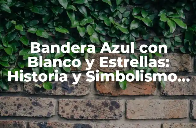 Bandera Azul con Blanco y Estrellas: Historia y Simbolismo Detrás de la Iconografía