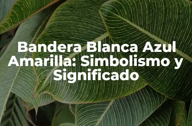 Bandera Blanca Azul Amarilla: Simbolismo y Significado