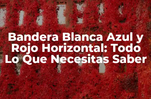 Bandera Blanca Azul y Rojo Horizontal: Todo Lo que Necesitas Saber