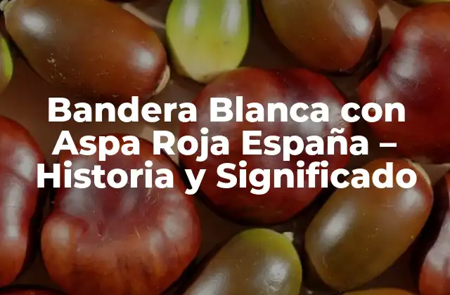 Bandera Blanca con Aspa Roja España – Historia y Significado