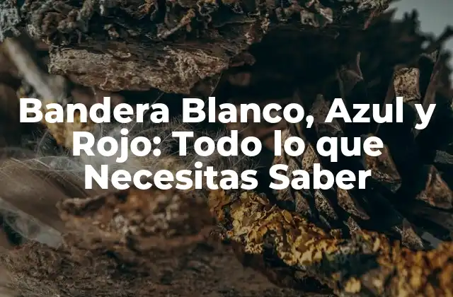 Bandera Blanco, Azul y Rojo: Todo Lo que Necesitas Saber