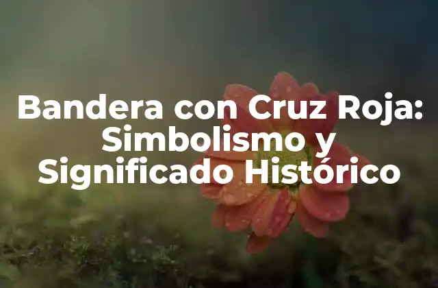 Bandera con Cruz Roja: Simbolismo y Significado Histórico