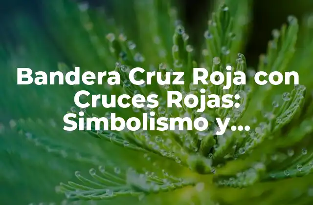 Bandera Cruz Roja con Cruces Rojas: Simbolismo y Significado