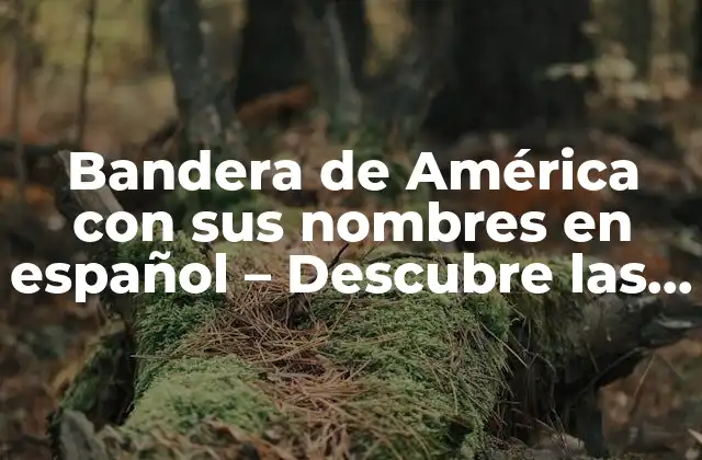 Bandera de América con Sus Nombres en Español – Descubre las 50 Estrellas