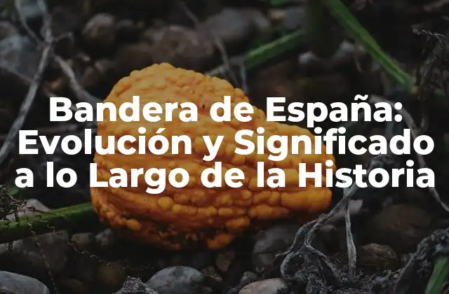 Bandera de España: Evolución y Significado a Lo Largo de la Historia