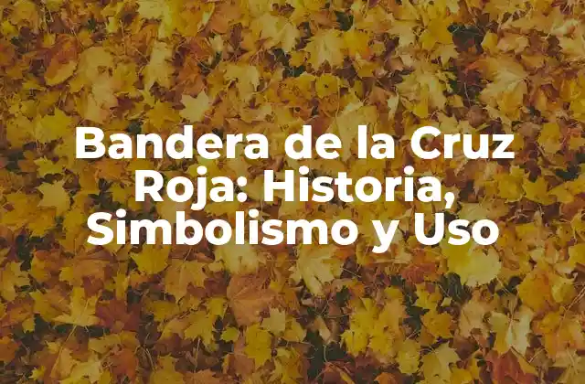 Bandera de la Cruz Roja: Historia, Simbolismo y Uso