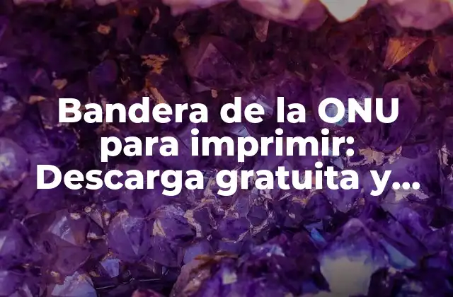 Bandera de la Onu para Imprimir: Descarga Gratuita y Guía de Uso