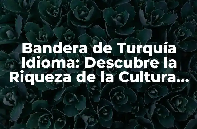 Bandera de Turquía Idioma: Descubre la Riqueza de la Cultura Turca