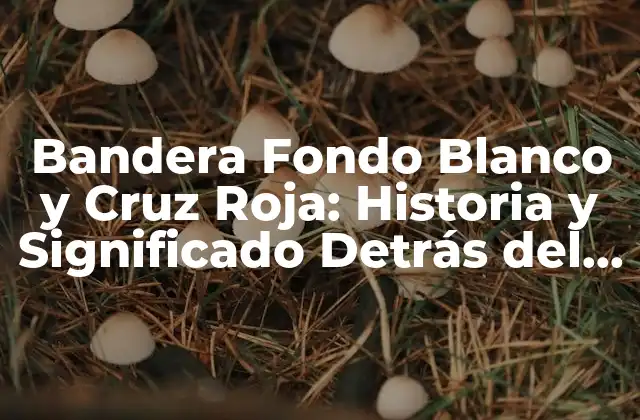Bandera Fondo Blanco y Cruz Roja: Historia y Significado Detrás Del Iconico Diseño