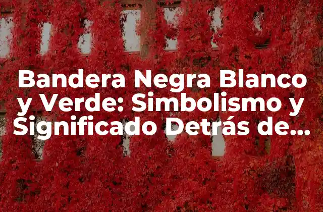 Bandera Negra Blanco y Verde: Simbolismo y Significado Detrás de Esta Combinación de Colores
