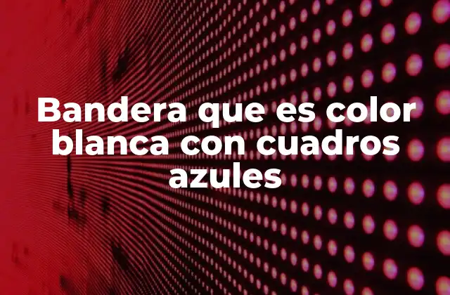 Bandera que es Color Blanca con Cuadros Azules