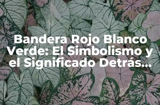 Bandera Rojo Blanco Verde: el Simbolismo y el Significado Detrás de los Colores