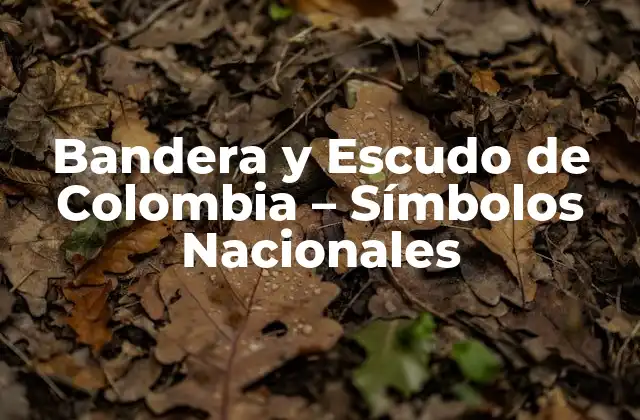 Bandera y Escudo de Colombia – Símbolos Nacionales