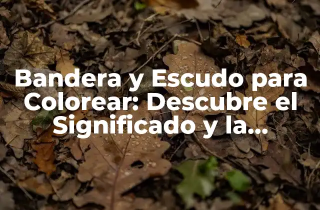 Bandera y Escudo para Colorear: Descubre el Significado y la Importancia