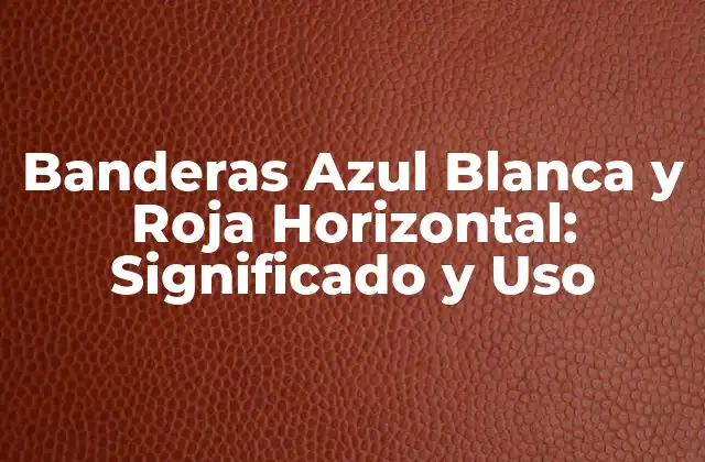 Banderas Azul Blanca y Roja Horizontal: Significado y Uso