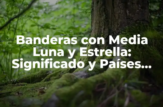 Banderas con Media Luna y Estrella: Significado y Países que las Utilizan