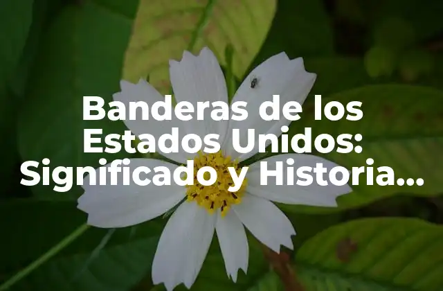 Banderas de los Estados Unidos: Significado y Historia de la Bandera Blanca Azul y Roja con Estrellas