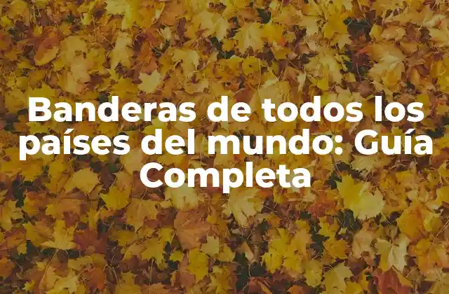 Banderas de Todos los Países Del Mundo: Guía Completa