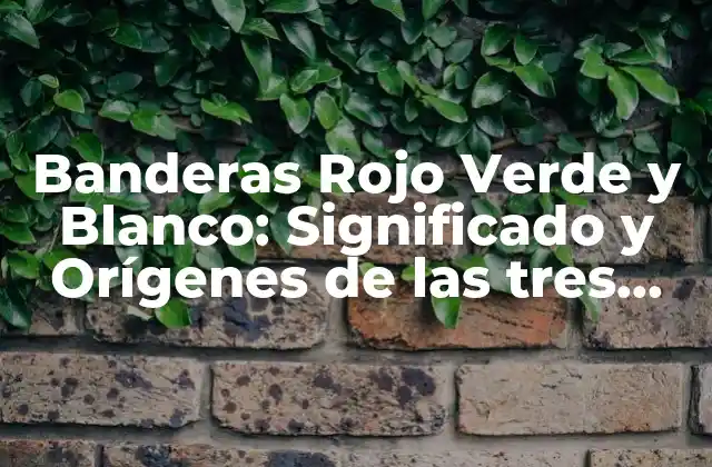 Banderas Rojo Verde y Blanco: Significado y Orígenes de las Tres Colores Más Comunes