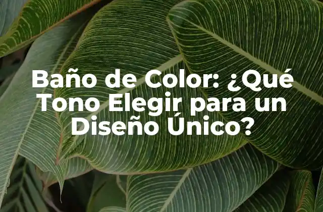 Baño de Color: ¿qué Tono Elegir para un Diseño Único?