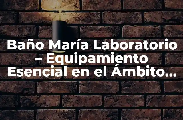 Baño María Laboratorio – Equipamiento Esencial en el Ámbito Científico