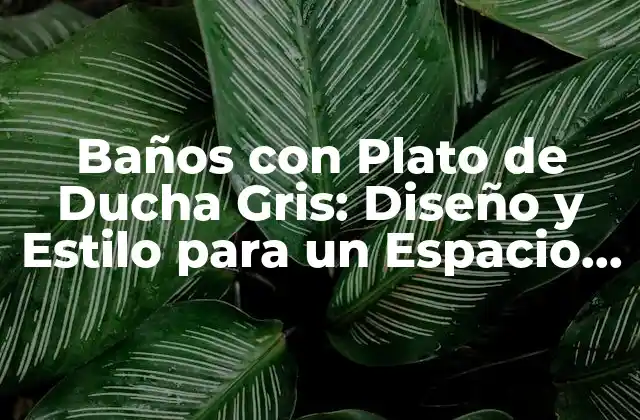 Baños con Plato de Ducha Gris: Diseño y Estilo para un Espacio Único