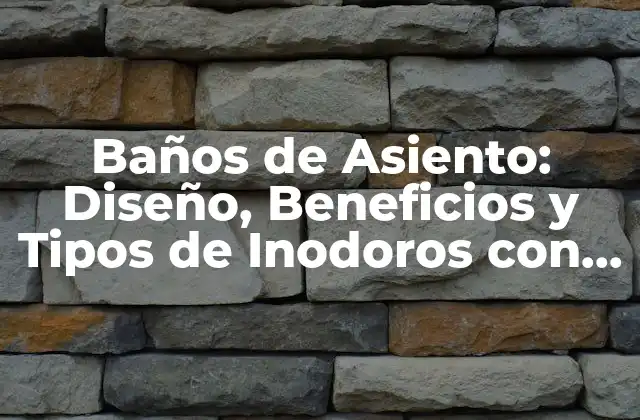 Baños de Asiento: Diseño, Beneficios y Tipos de Inodoros con Asiento