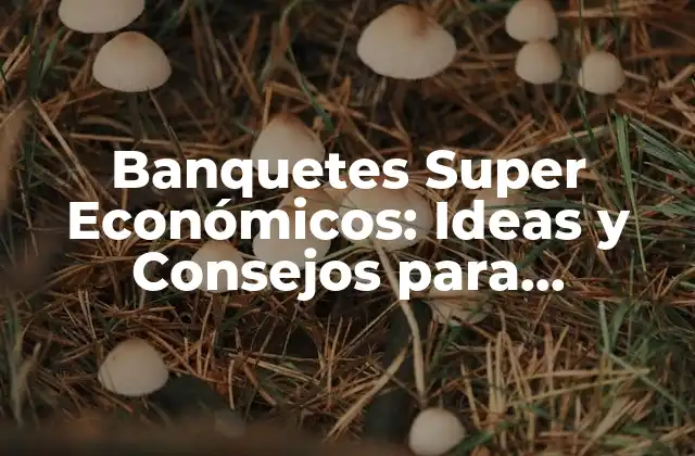 Banquetes Super Económicos: Ideas y Consejos para Organizar un Evento de Lujo sin Quebrar la Caja