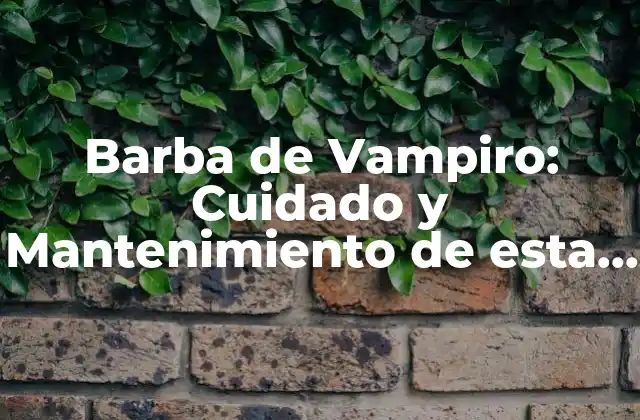 Barba de Vampiro: Cuidado y Mantenimiento de Esta Exótica Planta