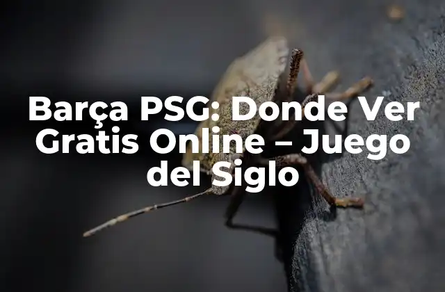Barça Psg: Donde Ver Gratis Online – Juego Del Siglo