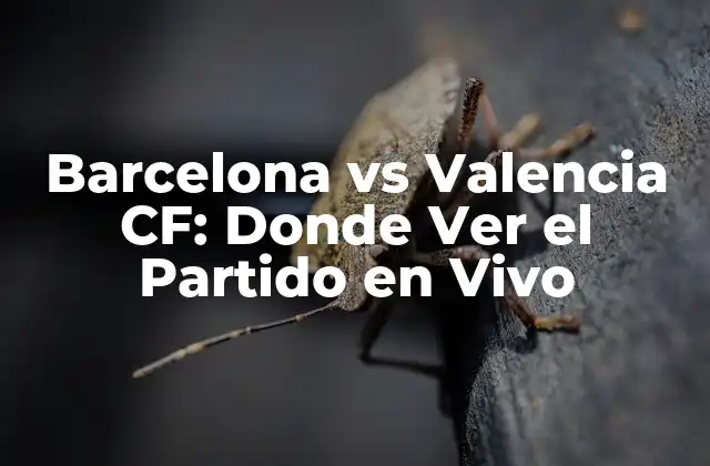 Barcelona Vs Valencia Cf: Donde Ver el Partido en Vivo 2 Una Breve Historia de la Rivalidad entre Barcelona y Valencia CF