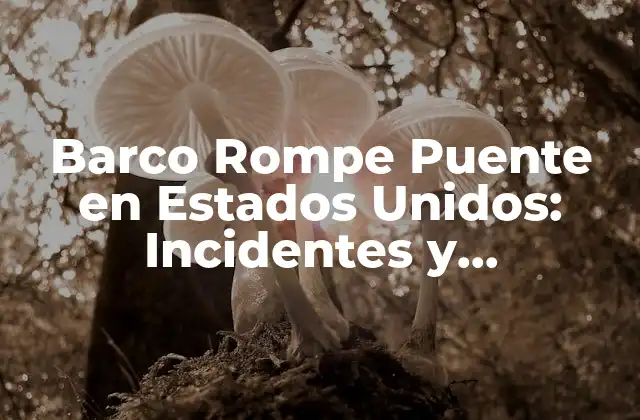 Barco Rompe Puente en Estados Unidos: Incidentes y Consecuencias