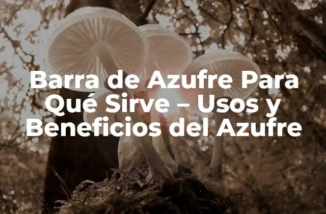 Barra de Azufre para Qué Sirve – Usos y Beneficios Del Azufre