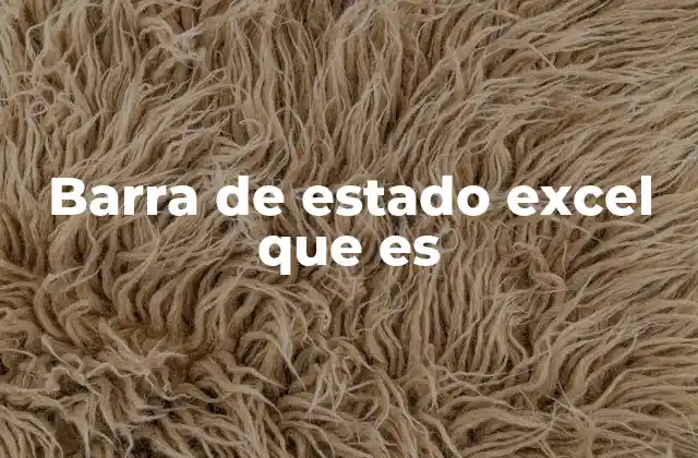 Barra de Estado Excel que es