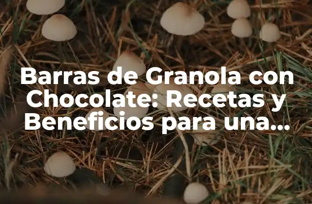 Barras de Granola con Chocolate: Recetas y Beneficios para una Opción Saludable