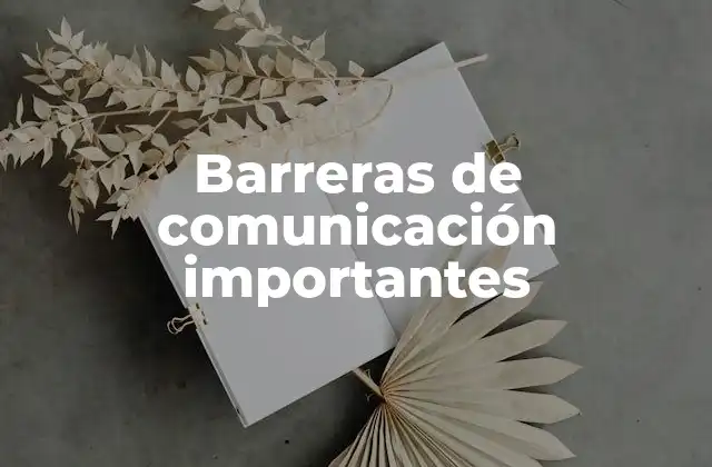 Barreras de Comunicación Importantes 2 Factores que influyen en la claridad de las interacciones humanas