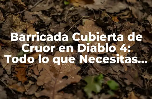 Barricada Cubierta de Cruor en Diablo 4: Todo Lo que Necesitas Saber