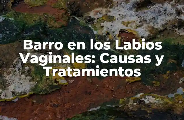 Barro en los Labios Vaginales: Causas y Tratamientos 2 Causas del Barro en los Labios Vaginales