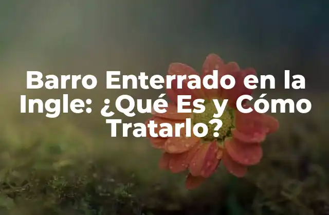 Barro Enterrado en la Ingle: ¿qué es y Cómo Tratarlo?