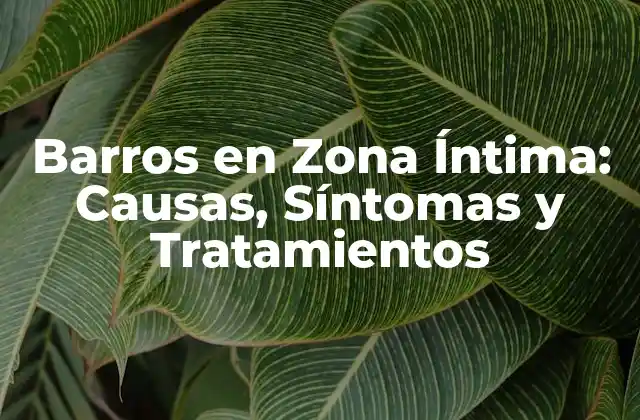 Barros en Zona Íntima: Causas, Síntomas y Tratamientos