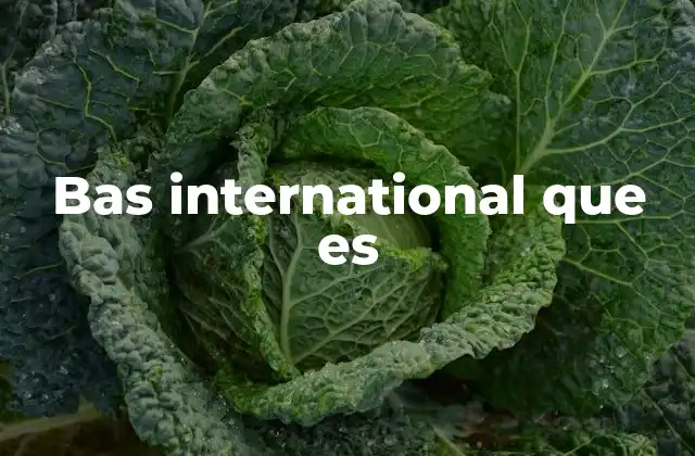 Bas International que es