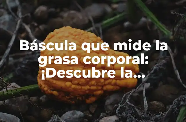 Báscula que Mide la Grasa Corporal: ¡descubre la Importancia de Medir Tu Composición Corporal!