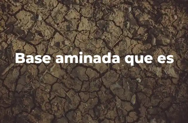 El papel de las bases aminadas en la estructura del ADN