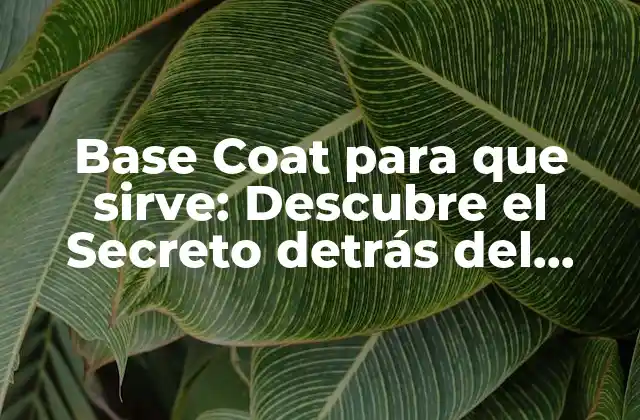 Base Coat para que Sirve: Descubre el Secreto Detrás Del Éxito de Tus Uñas