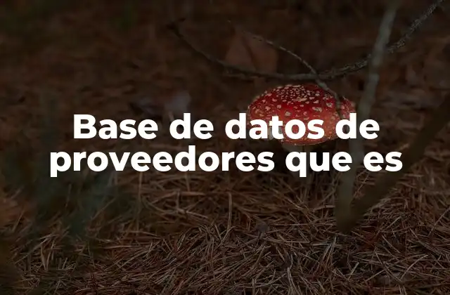 Base de Datos de Proveedores que es