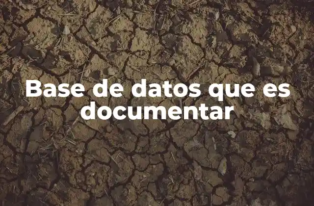 Base de Datos que es Documentar